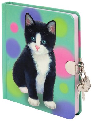 Sweet Kitty Lock and Key Diary 6.25x6.25