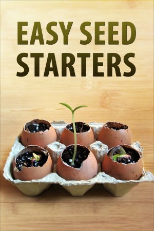 Easy Seed Starters