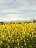 French Notes and Textbook for English Speakers