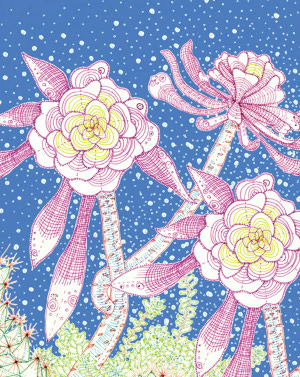 Succulents Eco-Note cards: 16 Assorted Note cards and Envelopes