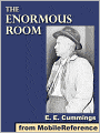 The Enormous Room