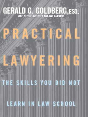 Practical Lawyering: The Skills You Did Not Learn in Law School