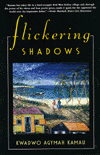 Flickering Shadows