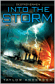 Into the Storm (Destroyermen Series #1)