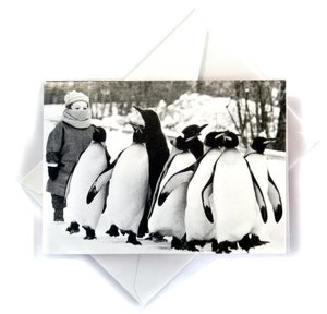 Penguin March Christmas Boxed Card