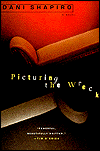 Picturing the Wreck
