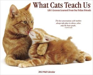2012 What Cats Teach Us Wall Calendar
