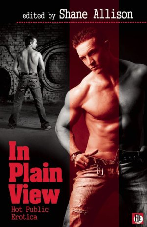In Plain View: Gay Public Sex