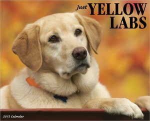 2012 Yellow Labs Wall Calendar