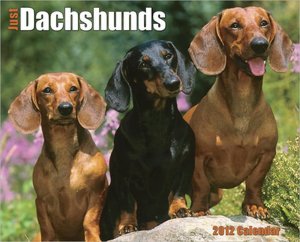 2012 Dachshunds Wall Calendar