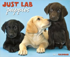 2012 Lab Puppies Wall Calendar