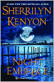 Night Embrace (Dark-Hunter Series #2)