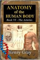 Anatomy of the Human Body Book VI – The Arteries