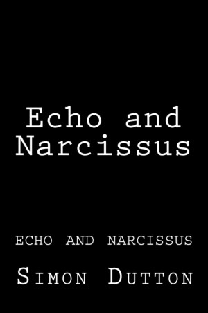 Echo and Narcissus