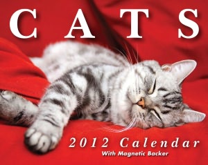 2012 Cats Mini Box Calendar