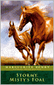 Stormy, Misty's Foal (Turtleback School & Library Binding Edition)