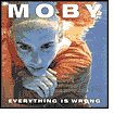Everything Is Wrong