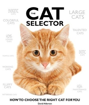 The Cat Selector: How to Choose the Right Cat for You