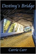 Destiny's Bridge: Book 1 in the Lex & Amanda Series