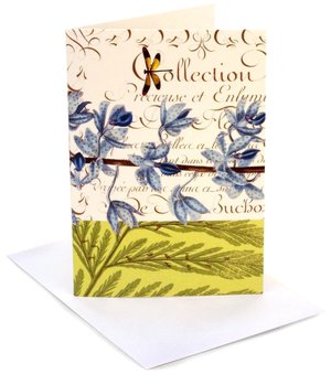 Dragonfly Floral Note Cards