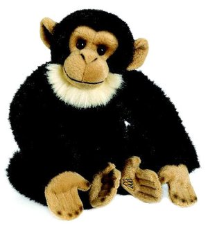 Webkinz Chimpanzee