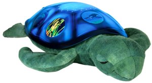 Twilight Sea Turtle