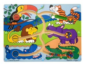 Magnetic Color Maze
