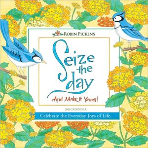 2011 Seize The Day Mini Wall Calendar