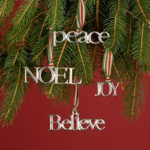BARNES & NOBLE | Silver Message Ornament Set by K&K Interiors