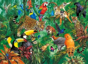 Jungle - 300 piece puzzle