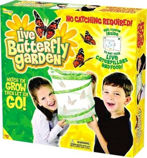 Live Butterfly Garden