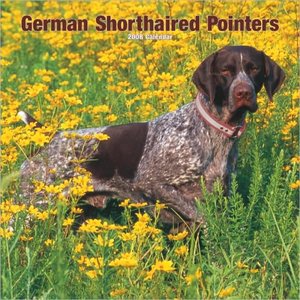2008 German Shorthaired Pointers Square Wall Calendar