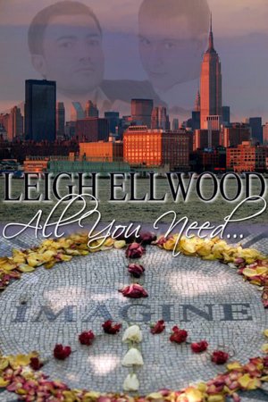 All You Need... (Gay Erotic Romance)