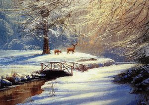 MORNING DEER CHRISTMAS BOXED CARD