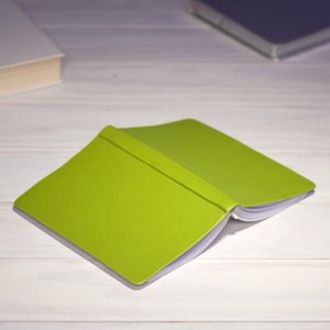 Citrus Everyday Journal