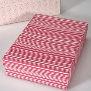 Madeline Eco Box 8.75 x 12