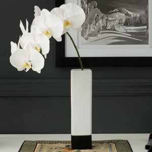 Mono Square Vase on Base Medium