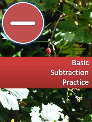 Basic Subtraction Practice