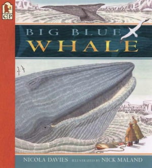 Big Blue Whale