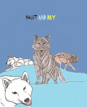 Night and Day