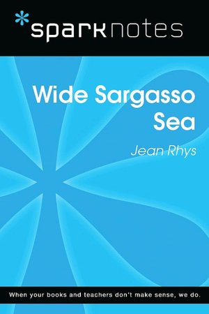 Wide Sargasso Sea (SparkNotes Literature Guide Series)