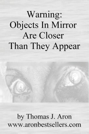 Warning: Objects In Mirror Are Closer Than They Appear