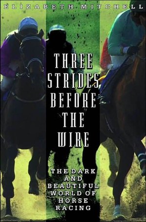 Three Strides before the Wire: The Dark and Beautiful World of Horse Racing