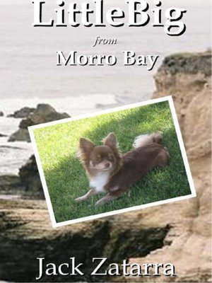 LittleBig from Morro Bay