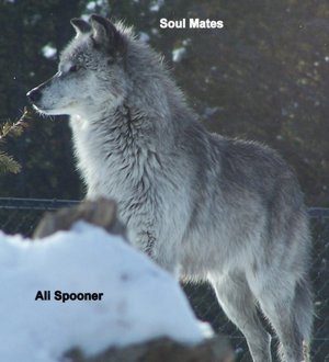Soul Mates