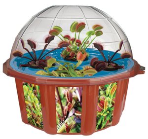 Hydrooponic Fly Trap