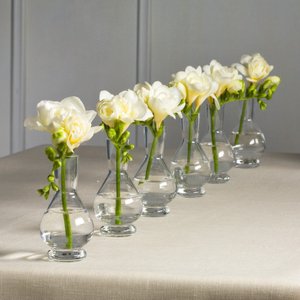 Palace Bud Vases Set of 6 in Clear