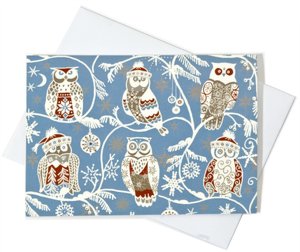Santa Owls Christmas Boxed Card