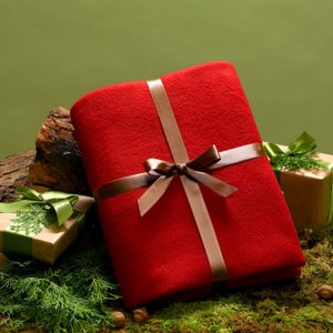 Red Winter Throw