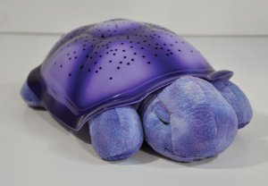 Twilight Turtle - purple